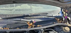 Foto de BRAZO LIMPIA DELANTERO IZQUIERDO FORD FIESTA (CNN) 1.25 16V CAT (82 CV / 60 KW)