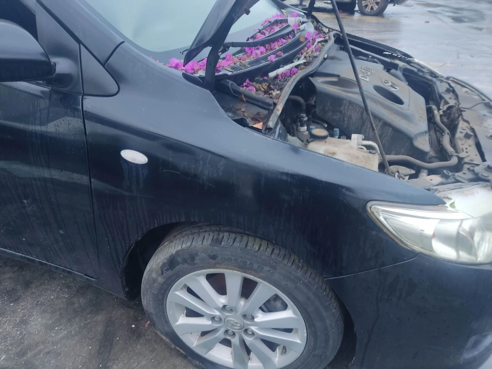 Foto de ALETA DELANTERA DERECHA TOYOTA COROLLA (E15) 1.4 Turbodiesel CAT (90 CV / 66 KW) referencia 5381112A10