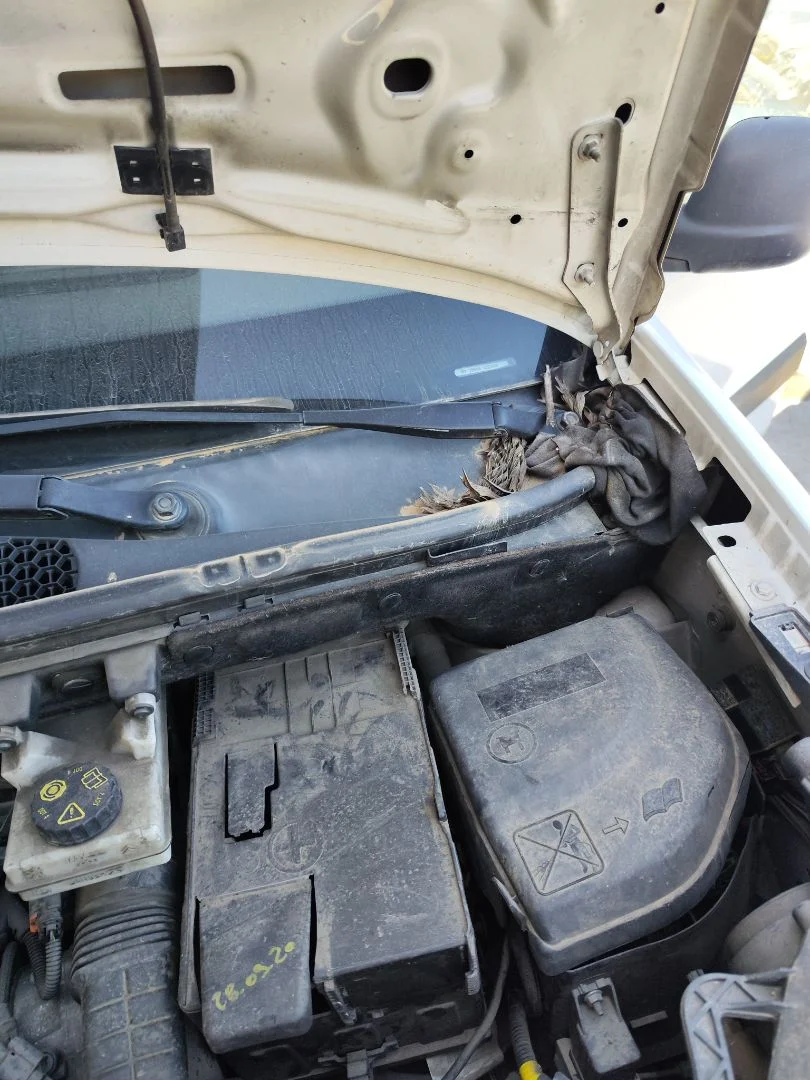 Foto de MOTOR LIMPIA DELANTERO CITROEN BERLINGO FURGÓN 1.6 Blue-HDI FAP (99 CV / 73 KW)