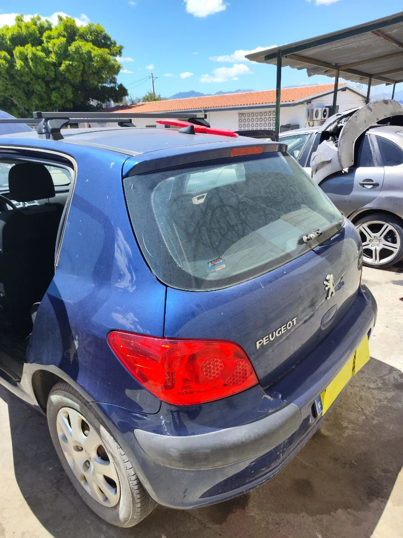 Foto de PORTON TRASERO PEUGEOT 307 BERLINA (S2) 1.4 16V CAT (KFU / ET3J4) (88 CV / 65 KW)