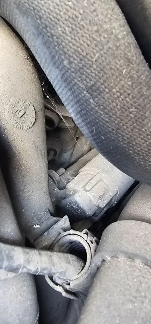 Foto de MOTOR ARRANQUE SEAT IBIZA BERLINA (6J5) 1.4 TDI (80 CV / 59 KW) referencia 02Z911023F