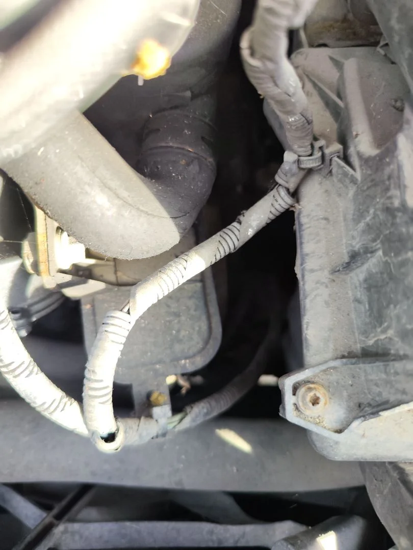 Foto de CAJA CAMBIOS FORD FOCUS SPORTBREAK (CAP) 1.6 TDCi CAT (90 CV / 66 KW) referencia 1485655