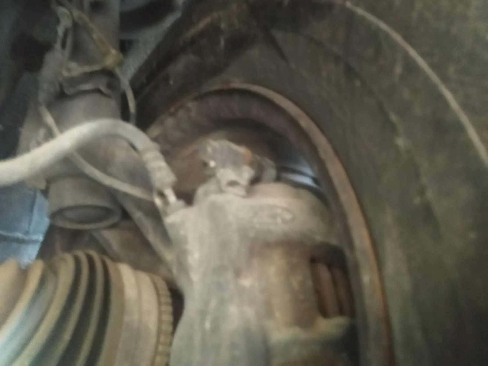 Foto de MANGUETA DELANTERA IZQUIERDA FORD TRANSIT COMBI (TT9) 2.2 TDCi CAT (116 CV / 85 KW) referencia 1743040