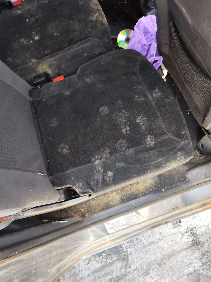 Foto de ASIENTOS TRASERO DERECHO CITROEN GRAND C4 PICASSO 1.6 16V HDi FAP (109 CV / 80 KW)