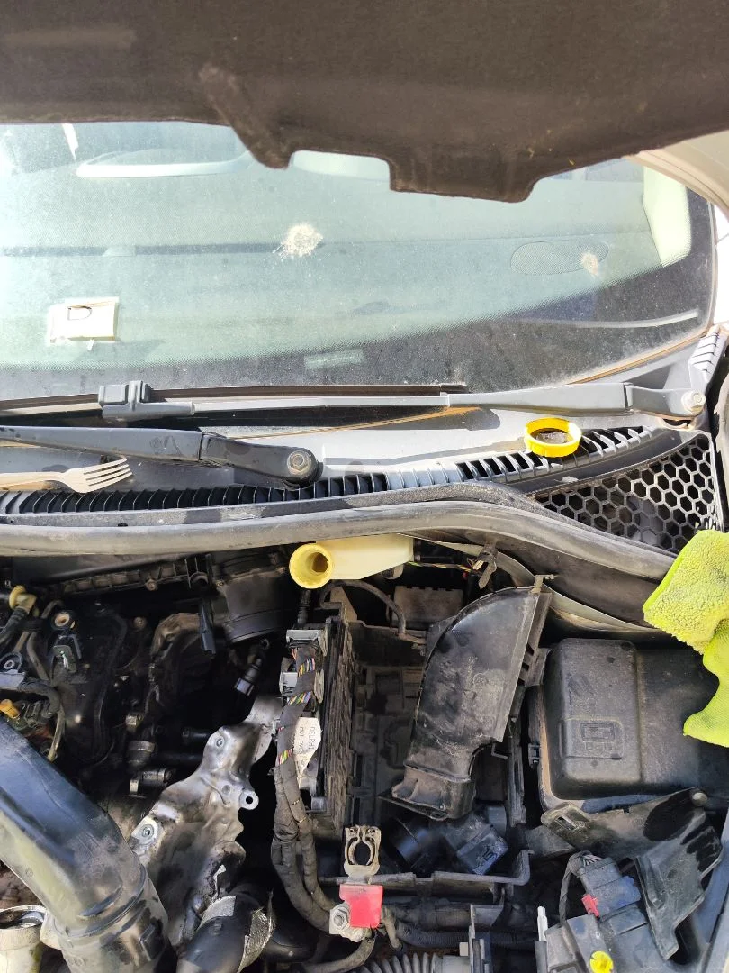 Foto de BRAZO LIMPIA DELANTERO IZQUIERDO PEUGEOT 207 1.6 16V HDi (90 CV / 66 KW) referencia 6429AL