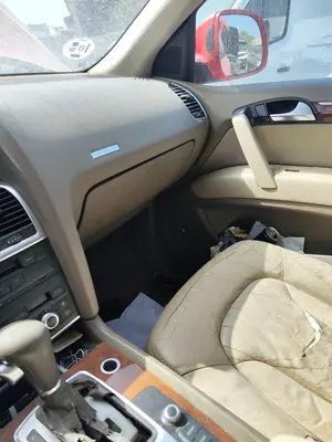 Foto de GUANTERA AUDI Q7 (4L) 3.0 V6 24V TDI (233 CV / 171 KW)