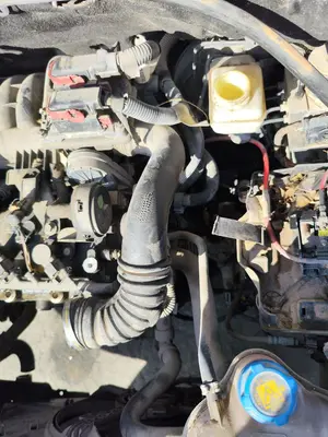 Foto de TUBO FIAT GRANDE PUNTO (199) 1.4  (95 CV / 70 KW)