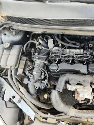 Foto de MOTOR COMPLETO FORD FOCUS BERLINA (CAP) 1.6 TDCi CAT (90 CV / 66 KW) referencia HHDA