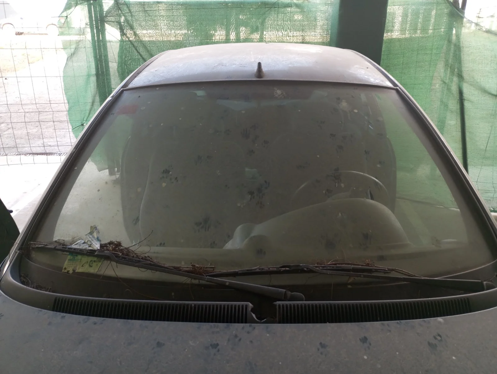 Foto de PARABRISAS FORD KA (CCQ) 1.3 CAT (50 CV / 37 KW) referencia 2315193