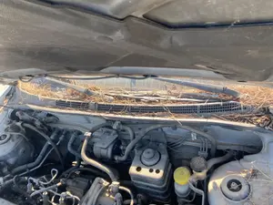 Foto de TORPEDO NISSAN ALMERA (N15) 2.0 Diesel (75 CV / 55 KW)