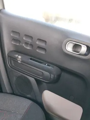 Foto de GUARNECIDO PUERTA TRASERA IZQUIERDA CITROEN C3