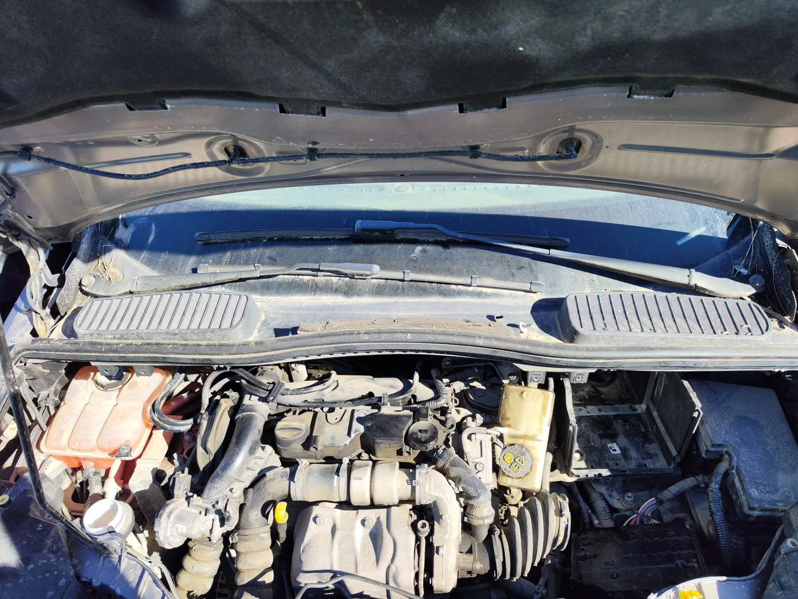 Foto de TORPEDO FORD C-MAX (CB7) 1.6 TDCi CAT (116 CV / 85 KW)