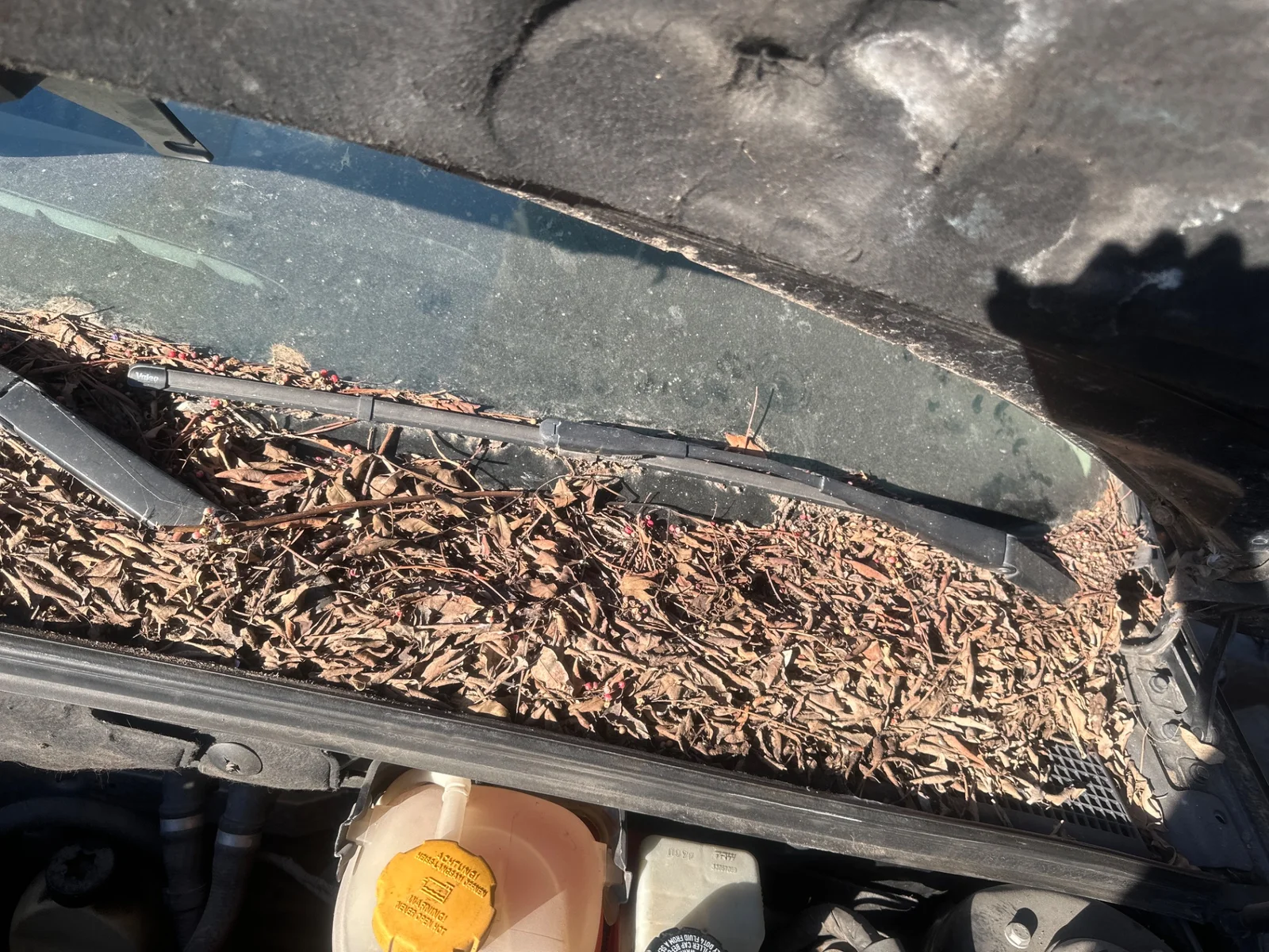 Foto de BRAZO LIMPIA DELANTERO IZQUIERDO SAAB 9-3 BERLINA 1.9 TiD CAT (150 CV / 110 KW)