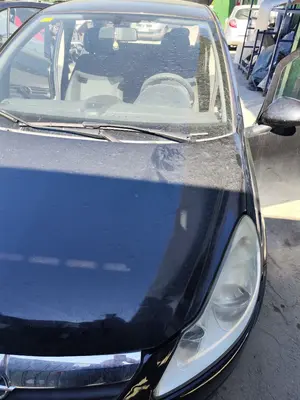 Foto de CAPO OPEL CORSA D 1.2 16V CAT (Z 12 XEP / LB4) (80 CV / 59 KW) foto 3