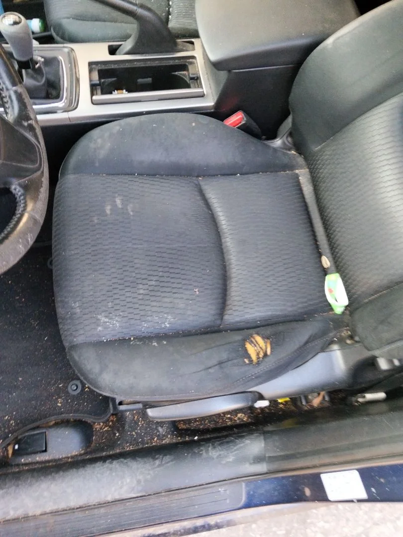 Foto de ASIENTO DELANTERO IZQUIERDO MAZDA 6 BERLINA (GH) 2.2 Turbodiesel CAT (163 CV / 120 KW)