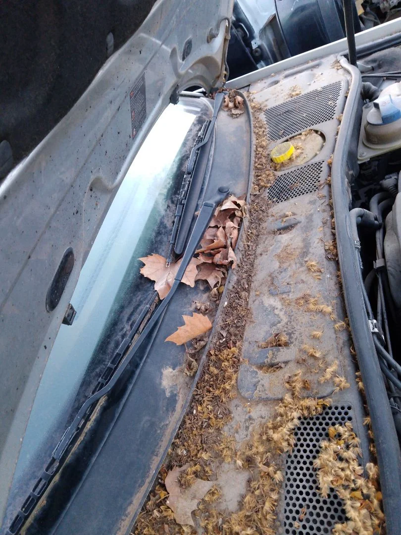 Foto de ARTICULACION LIMPIA DELANTERA VOLKSWAGEN PASSAT BERLINA (3B3) 1.9 TDI (131 CV / 96 KW)