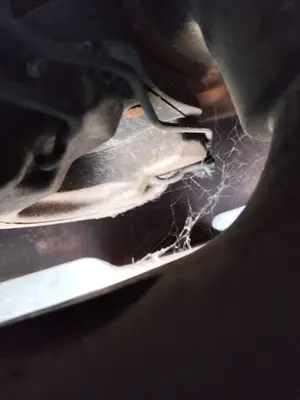 Foto de PINZA DE FRENO DELANTERA DERECHA RENAULT LAGUNA II (BG0) 1.9 dCi Diesel CAT (101 CV / 74 KW) referencia 7701049092