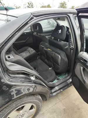Foto de GOMAS CONTORNO PUERTA VOLKSWAGEN BORA BERLINA (1J2)(1998) 1.9 TDI (110 CV / 81 KW)
