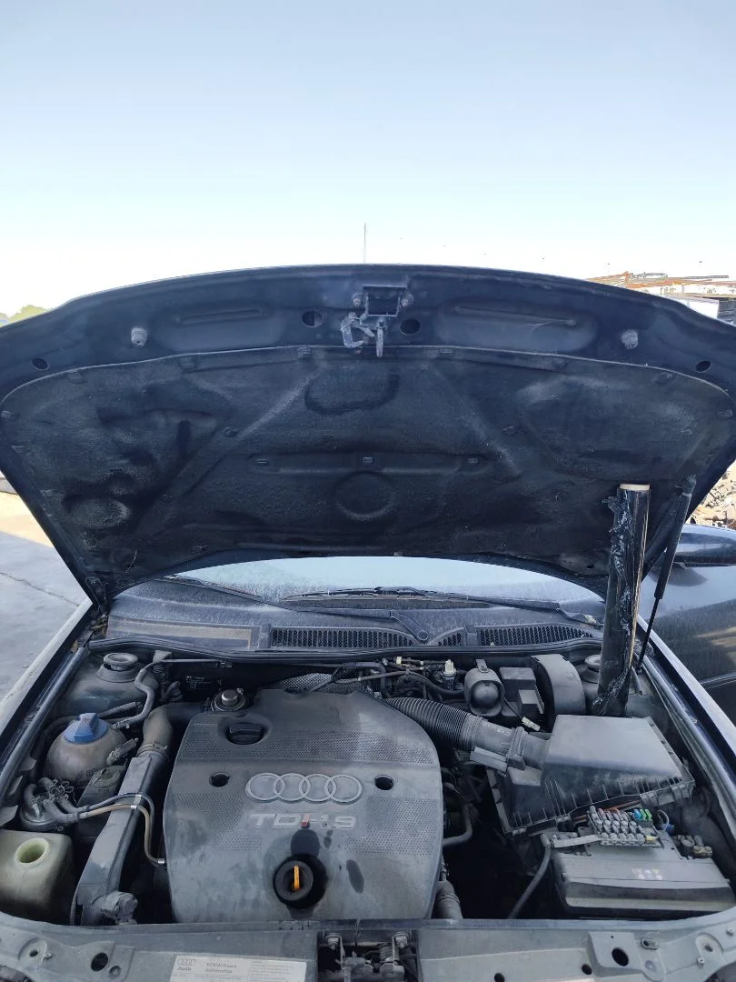 Foto de CAPO AUDI A3 (8L) 1.9 TDI (110 CV / 81 KW) referencia 8L0823029C
