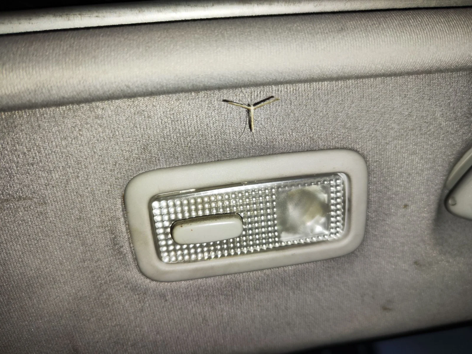 Foto de LUZ INTERIOR PEUGEOT 308 SW 1.6 HDi FAP CAT (9HZ / DV6TED4) (109 CV / 80 KW) referencia 9674191077