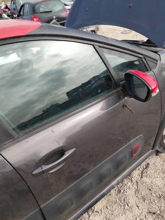 Foto de PUERTA DELANTERA DERECHA CITROEN C3