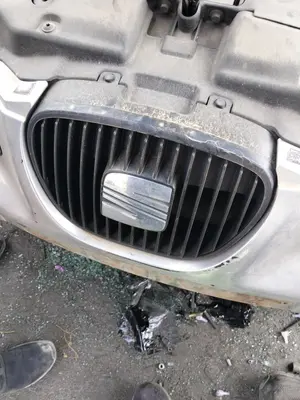 Foto de REJILLA DELANTERA SEAT CORDOBA BERLINA (6L2) 1.9 SDI (64 CV / 47 KW)