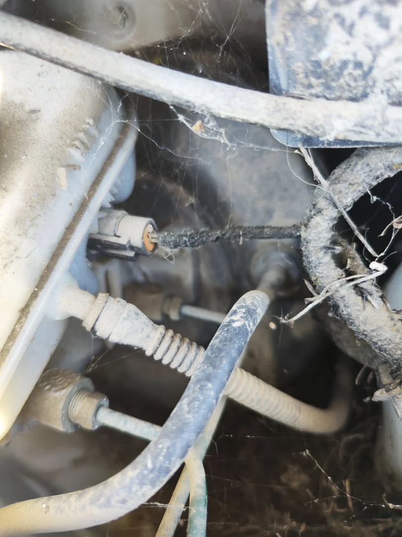 Foto de SERVOFRENO OPEL CORSA C 1.2 16V CAT (Z 12 XE / LW4) (75 CV / 55 KW) referencia 3495063
