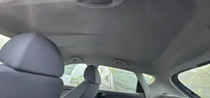 Foto de TECHO INTERIOR SEAT IBIZA BERLINA (6J5) 1.4 TDI (80 CV / 59 KW) referencia 6J4867501A FKZ
