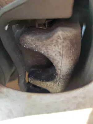 Foto de PINZA DE FRENO TRASERA IZQUIERDA OPEL ZAFIRA A 2.0 DTI (101 CV / 74 KW)