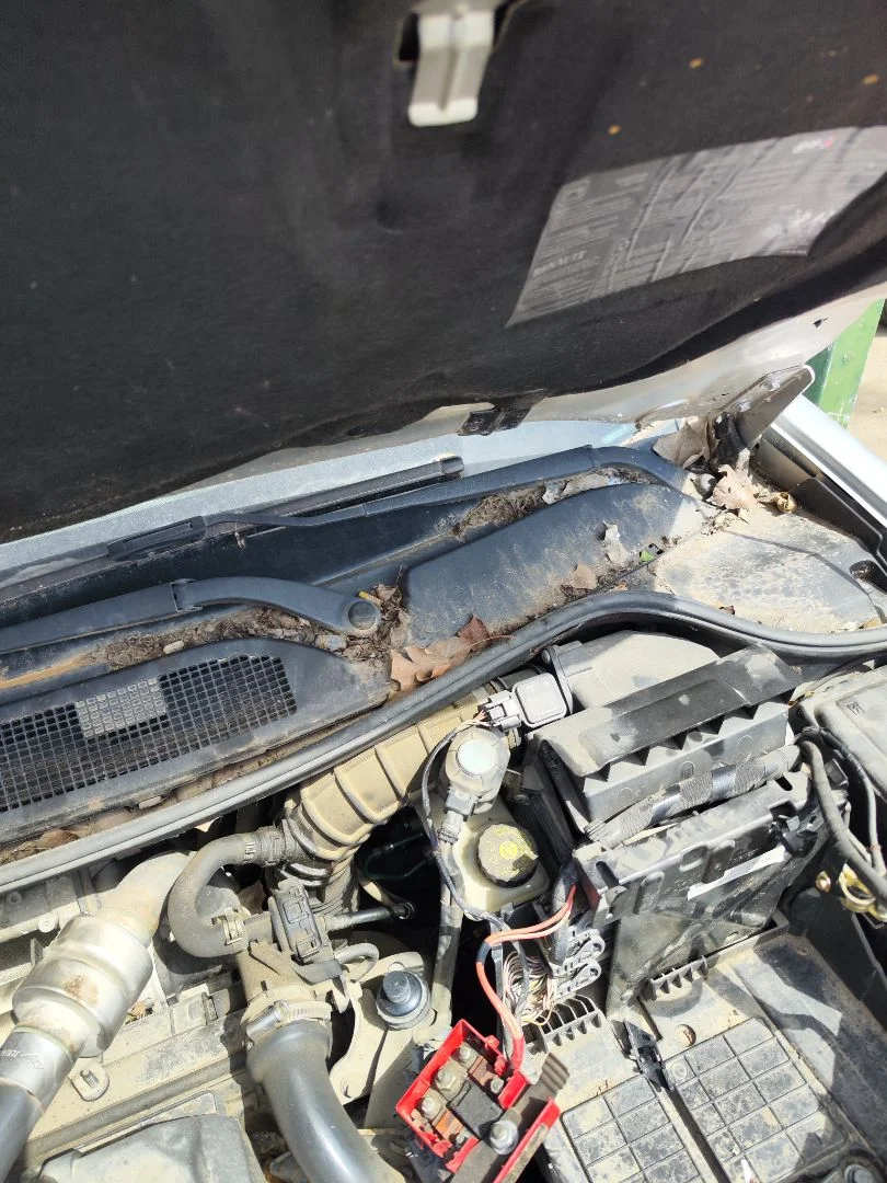 Foto de MOTOR LIMPIA DELANTERO RENAULT MEGANE II GRANDTOUR 1.5 dCi Diesel CAT (86 CV / 63 KW)