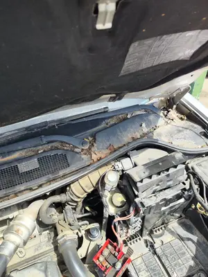 Foto de MOTOR LIMPIA DELANTERO RENAULT MEGANE II GRANDTOUR 1.5 dCi Diesel CAT (86 CV / 63 KW)