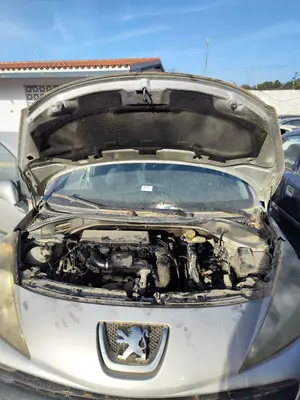 Foto de CAPO PEUGEOT 207 SW 1.4 16V VTi (95 CV / 70 KW) referencia 7901N2 foto 3