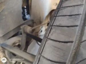 Foto de BRAZO SUSPENSION DELANTERO IZQUIERDO SEAT LEON (1P1) 1.9 TDI (105 CV / 77 KW)