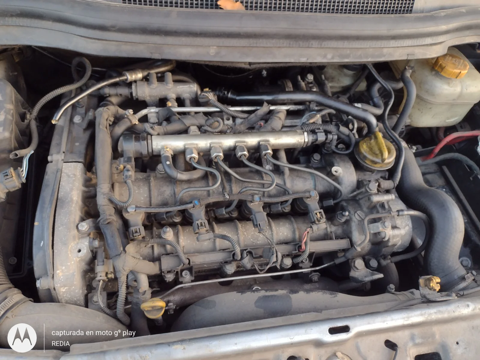 Foto de BOMBA DIRECCION OPEL ZAFIRA B 1.9 16V CDTI CAT (Z 19 DTH / LRD) (150 CV / 110 KW) referencia 93179568