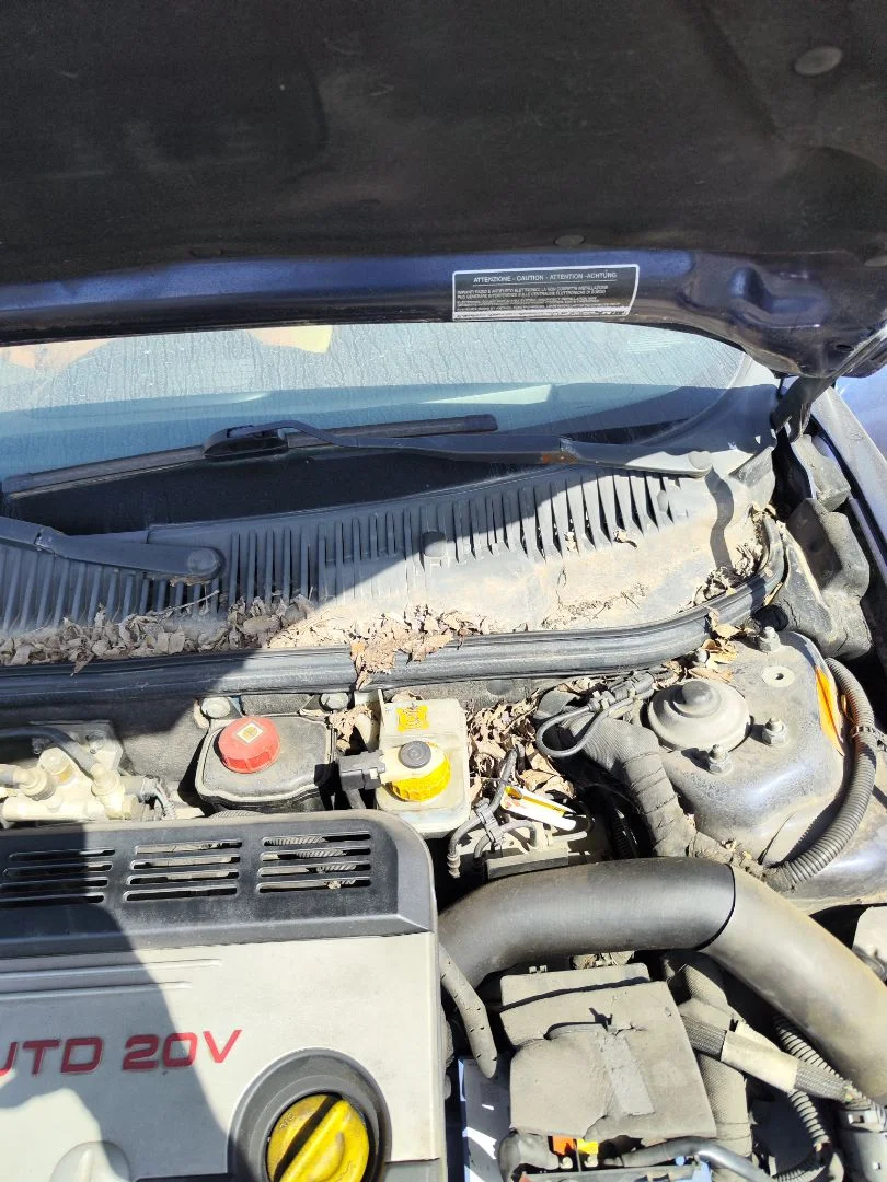Foto de BRAZO LIMPIA DELANTERO IZQUIERDO ALFA ROMEO 156 SPORTWAGON 2.4 JTD CAT (175 CV / 129 KW) referencia 0060692200