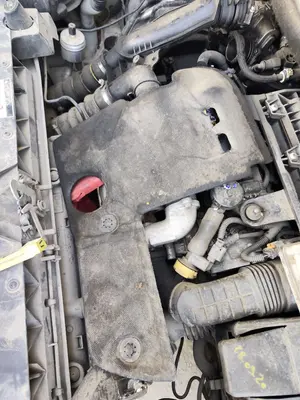Foto de TAPA MOTOR CITROEN BERLINGO FURGÓN 1.6 Blue-HDI FAP (99 CV / 73 KW)