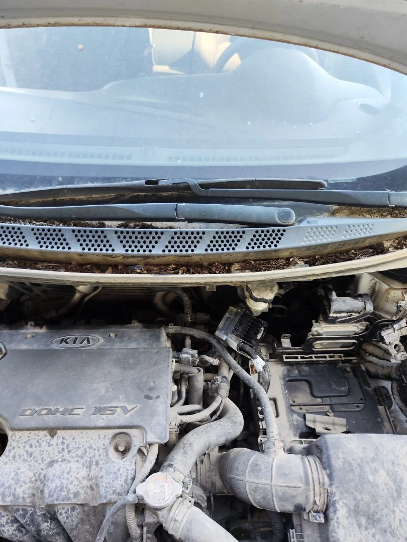 Foto de MOTOR LIMPIA DELANTERO KIA CEED (JD) 1.4 CAT (99 CV / 73 KW)