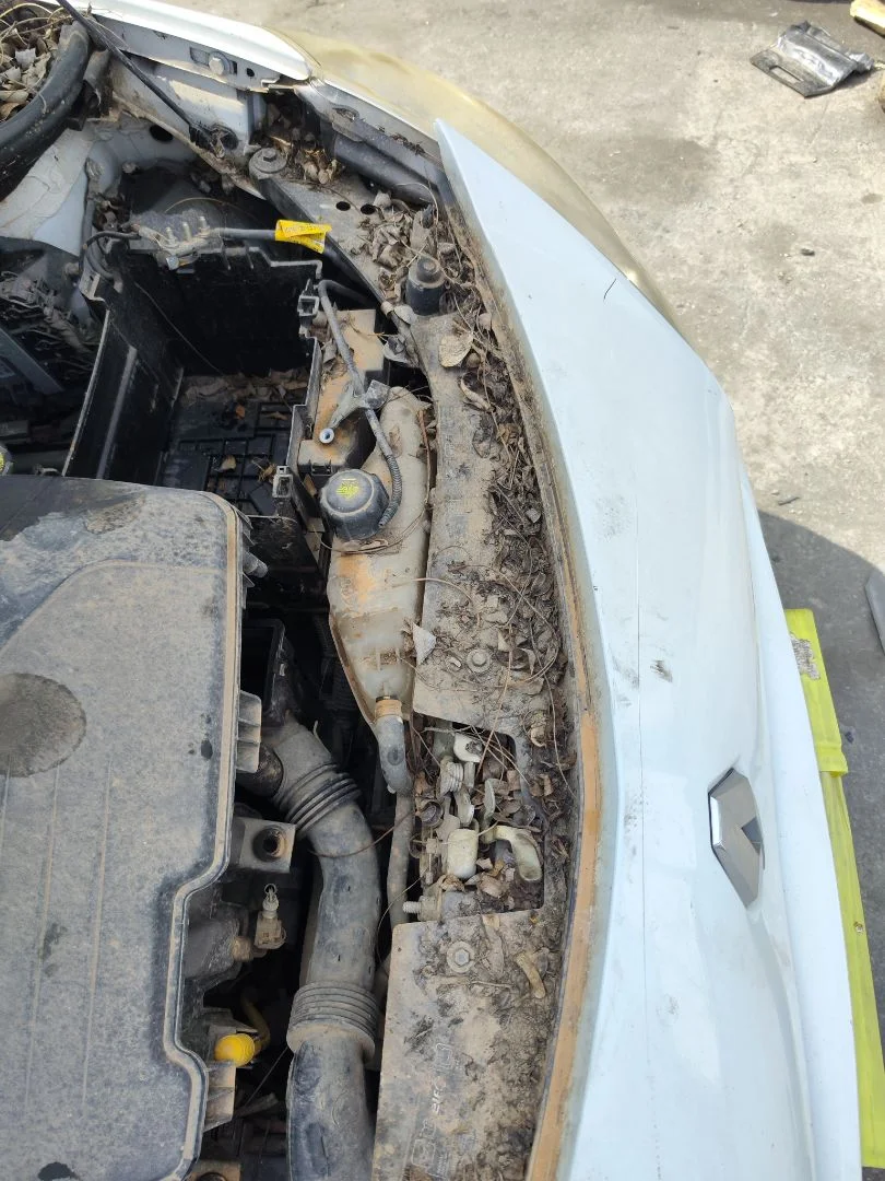 Foto de PANEL FRONTAL RENAULT CLIO III 1.2 16V (75 CV / 55 KW)