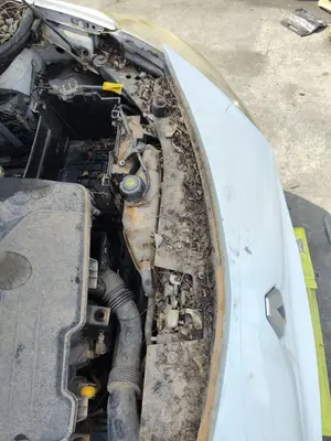 Foto de PANEL FRONTAL RENAULT CLIO III 1.2 16V (75 CV / 55 KW)
