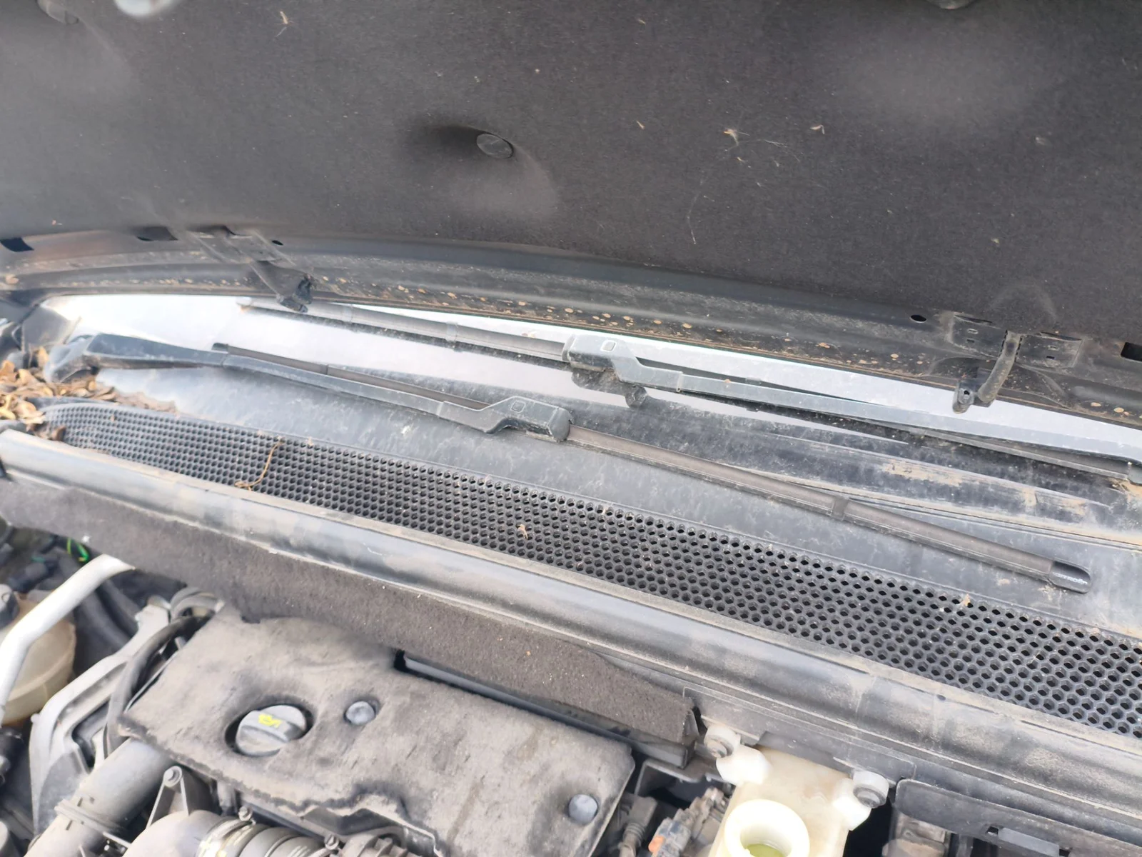Foto de BRAZO LIMPIA DELANTERO DERECHO CITROEN C4 PICASSO/SPACETOURER 1.6 HDi FAP (92 CV / 68 KW) referencia 9837608780