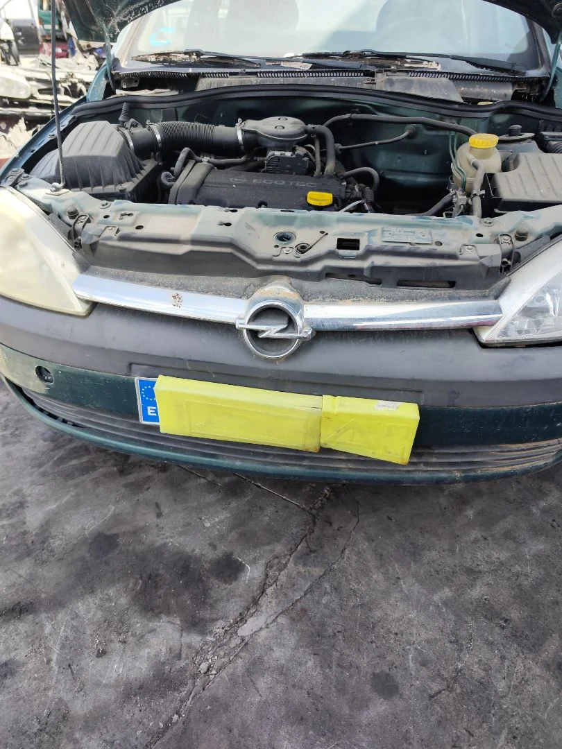 Foto de REJILLA DELANTERA OPEL CORSA C 1.2 16V CAT (Z 12 XE / LW4) (75 CV / 55 KW)