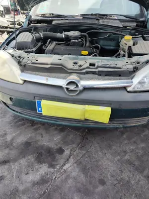 Foto de REJILLA DELANTERA OPEL CORSA C 1.2 16V CAT (Z 12 XE / LW4) (75 CV / 55 KW)