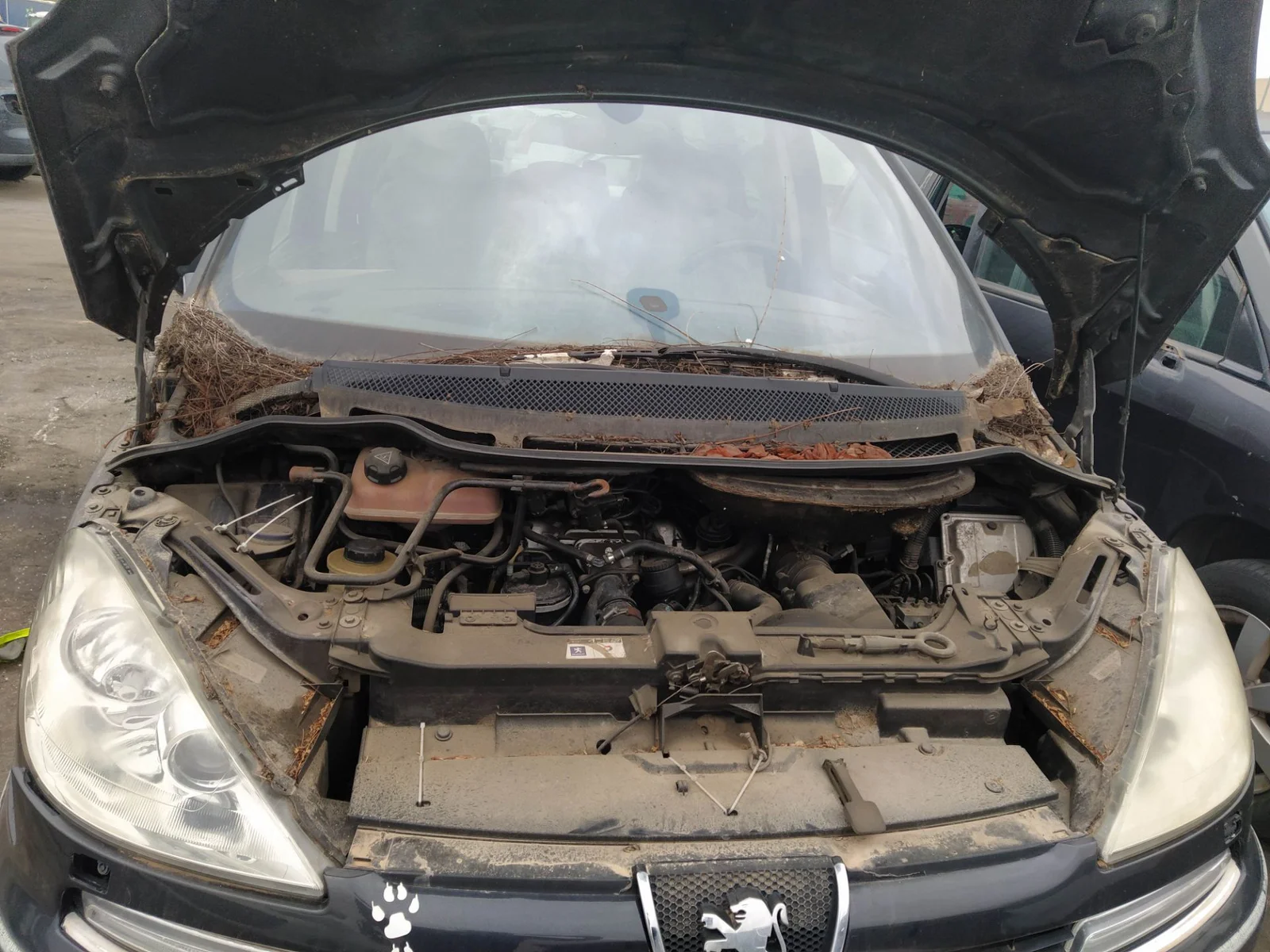 Foto de MOTOR COMPLETO PEUGEOT 807 2.2 HDi FAP CAT (4HW) (128 CV / 94 KW) referencia 0135EY