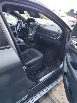 Foto de GOMAS CONTORNO PUERTA MERCEDES-BENZ CLASE GLE (BM 292) COUPE 3.0 CAT (390 CV / 287 KW)
