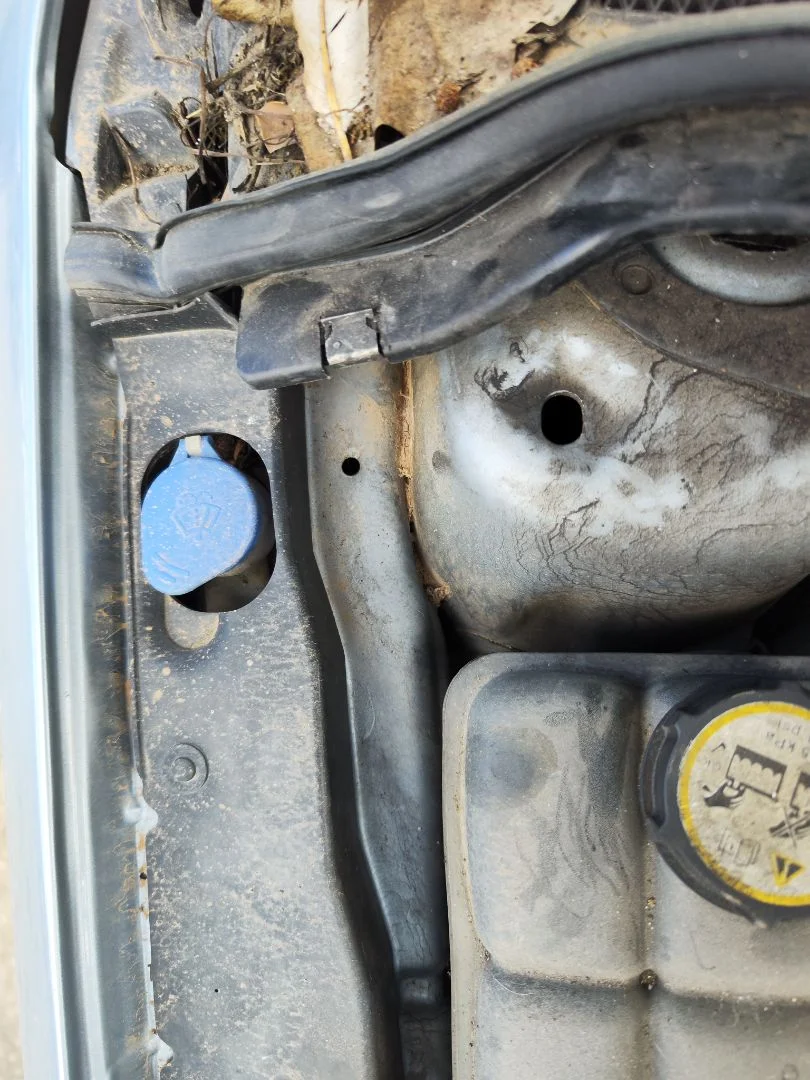 Foto de DEPOSITO LIMPIA FORD FOCUS BERLINA (CB4) 1.6 TDCi CAT (109 CV / 80 KW) referencia 1383195