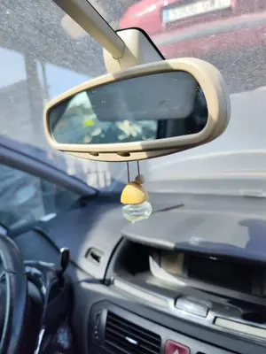 Foto de RETROVISOR INTERIOR CITROEN GRAND C4 PICASSO 1.6 16V HDi FAP (109 CV / 80 KW)