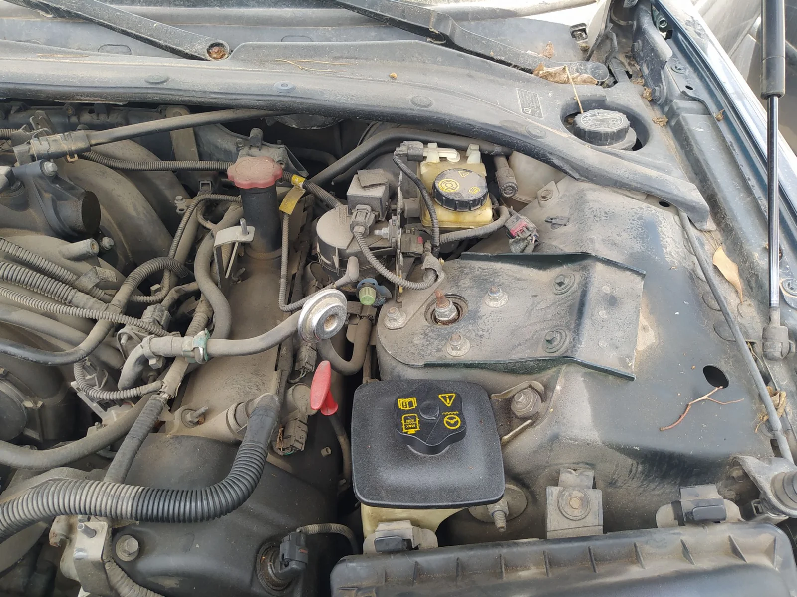 Foto de BOMBA FRENO JAGUAR S-TYPE (03.1999) 4.0 V8 32V CAT (276 CV / 203 KW)