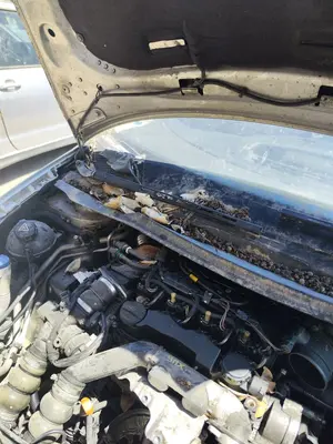 Foto de BRAZO LIMPIA DELANTERO DERECHO CITROEN C4 BERLINA 1.6 16V HDi (90 CV / 66 KW) referencia 6429Y6