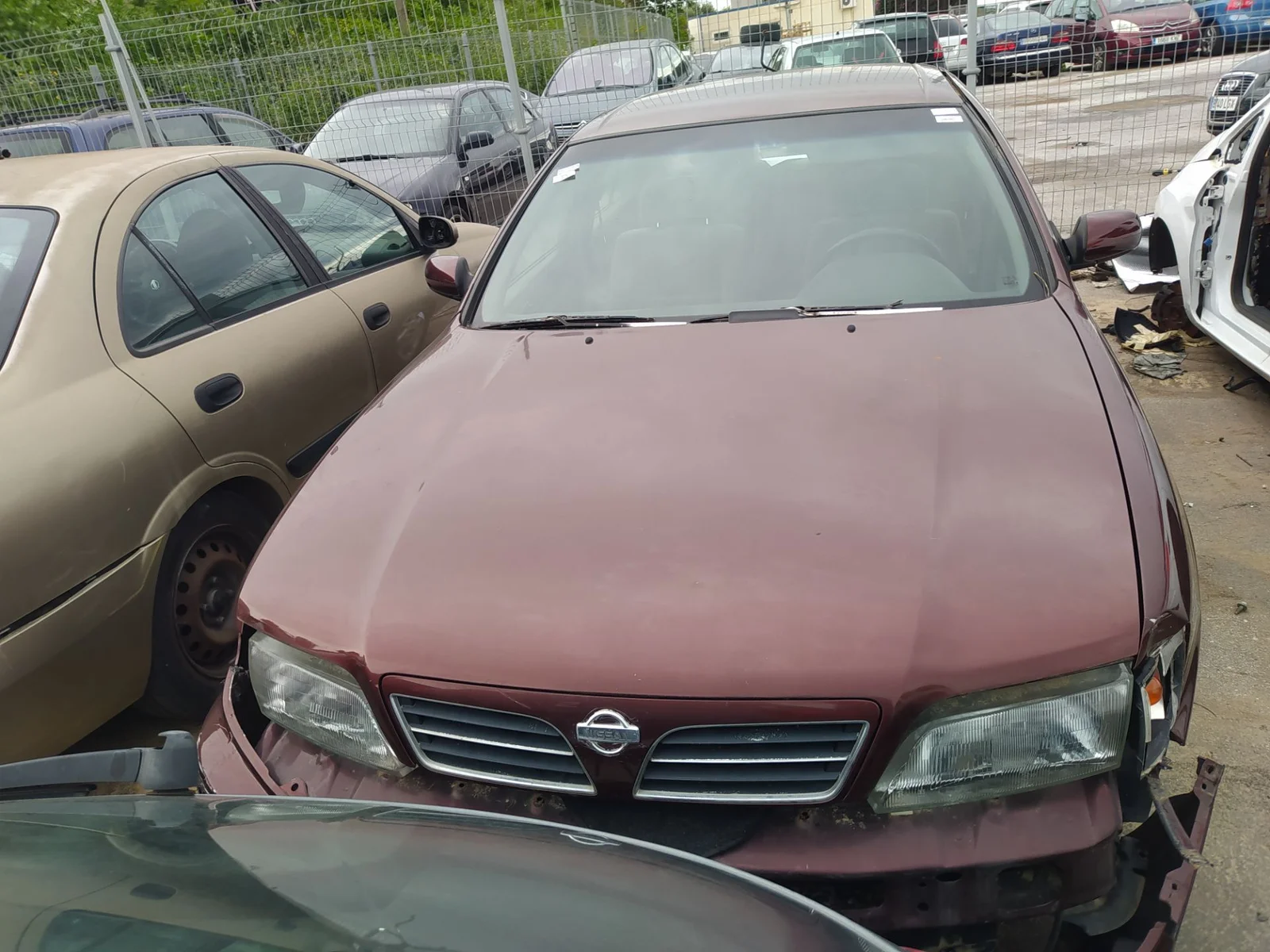 Foto de CAPO NISSAN MAXIMA QX (A32) 2.0 V6 24V CAT (140 CV / 103 KW)