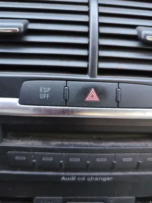 Foto de WARNING AUDI Q7 (4L) 3.0 V6 24V TDI (233 CV / 171 KW)